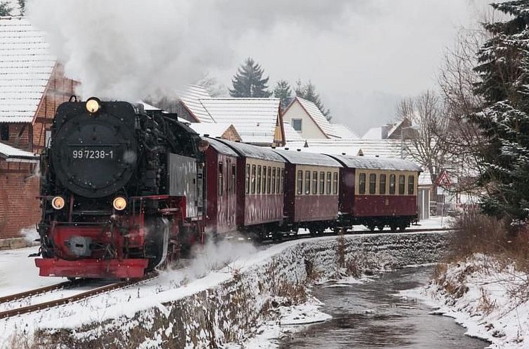 Appartement mit Terrasse