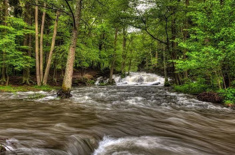 Appartement mit Terrasse