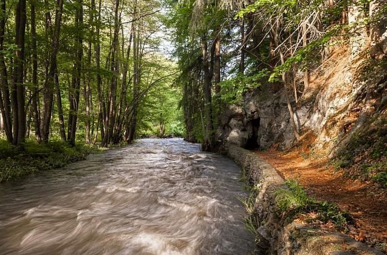 Appartement mit Terrasse