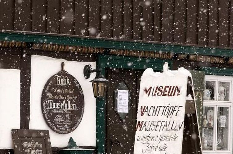 Appartement mit Terrasse