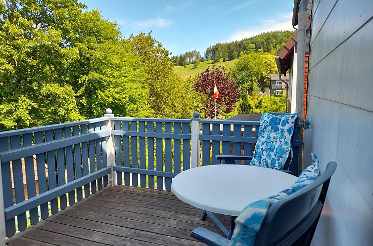 Vakantiehuis Harzhaus Schröder