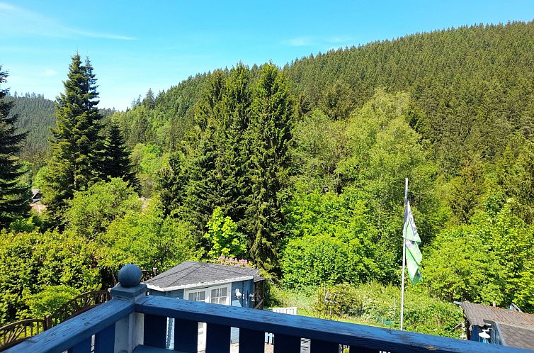 Vakantiehuis Harzhaus Schröder