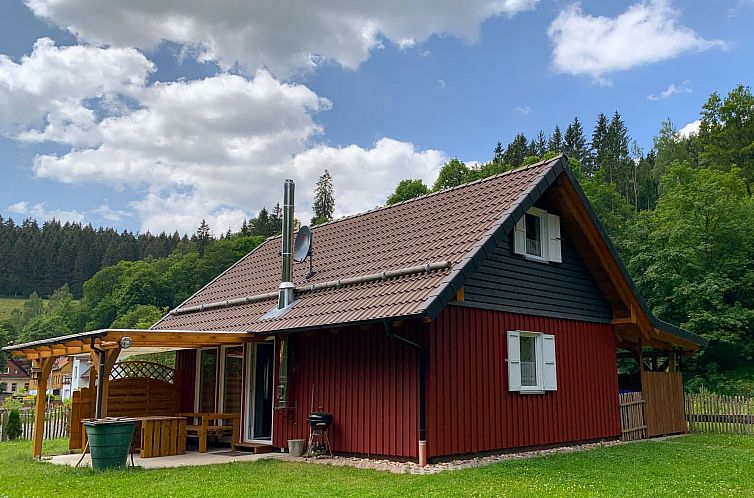 Vakantiehuis in Wildemann mit Terrasse