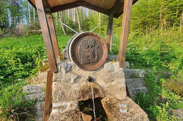 Appartement Superior Komfort Suite mit Wallbox