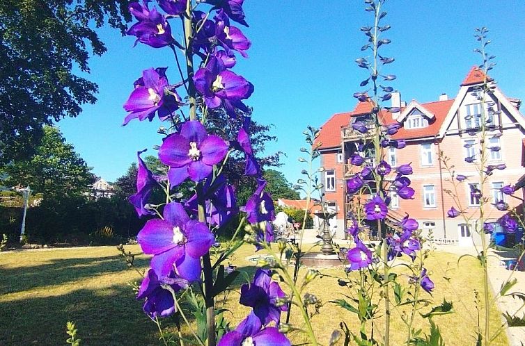 Appartement Superior Komfort Suite mit Wallbox