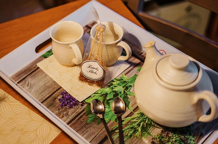 Vakantiehuis FH St. Andreasberg