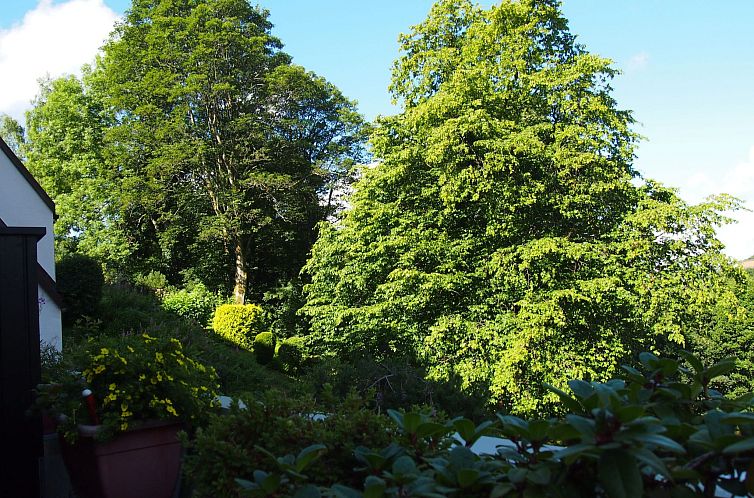 Appartement Harzgrün