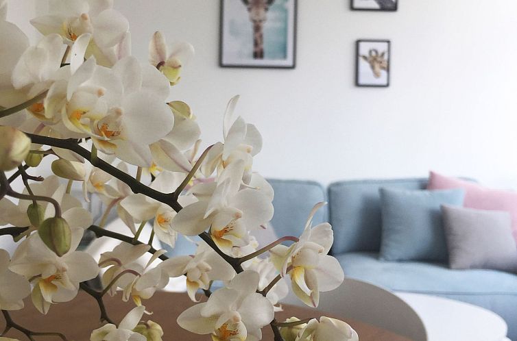 Appartement Schöne Moderne Ferienwohnung für 2-4 Personen 