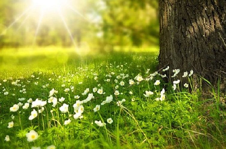 Appartement Schöne Moderne Ferienwohnung für 2-4 Personen 