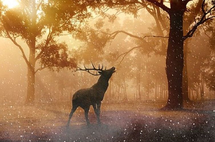 Appartement Schöne Moderne Ferienwohnung für 2-4 Personen 