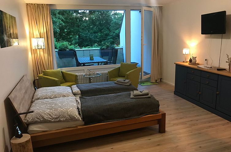 Guest house 0223211 - Apartment Harz - Appartement Gesamte Wohnung in Sankt Andreasberg mit Grill