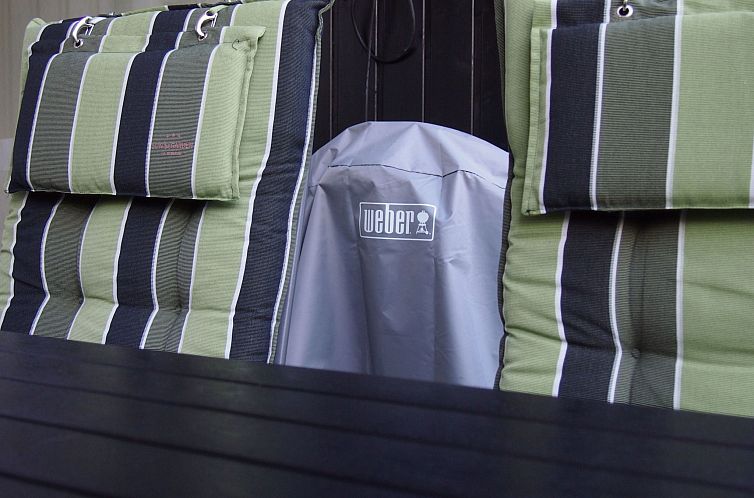 Appartement Gesamte Wohnung in Sankt Andreasberg mit Grill