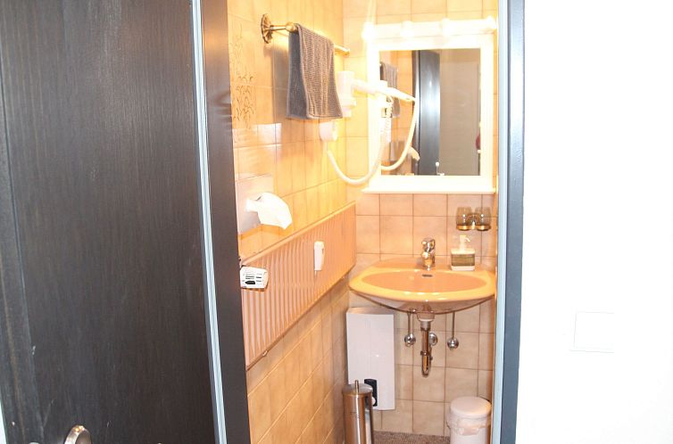 Appartement Gesamte Wohnung in Sankt Andreasberg mit Grill