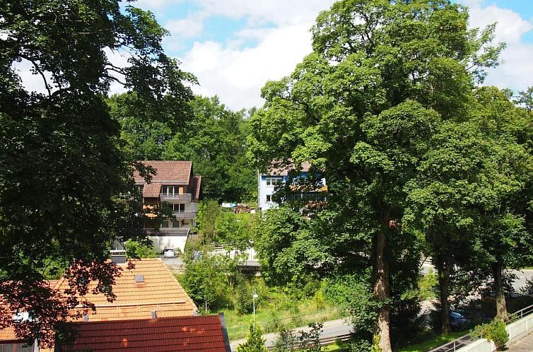 Appartement Apartment Harzgrün - schön,ruhig und mittendri
