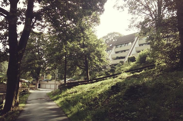 Appartement Apartment Harzgrün - schön,ruhig und mittendri