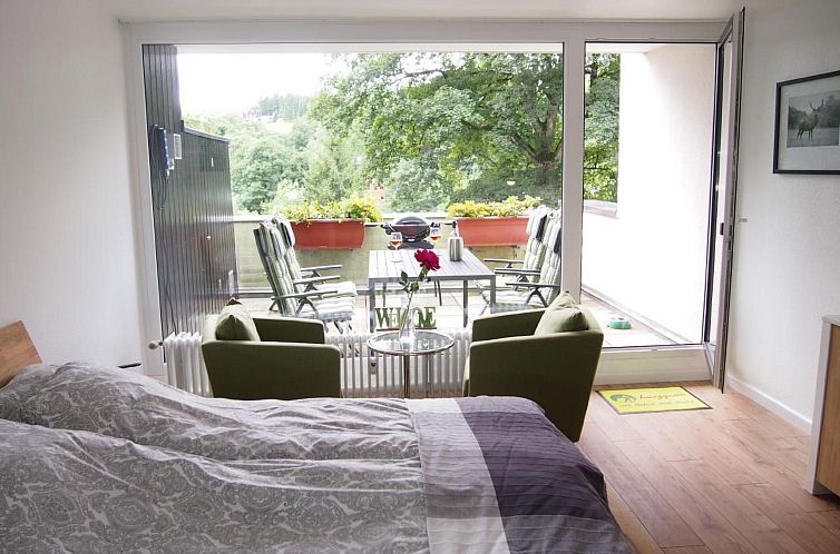 Appartement Apartment Harzgrün 2 - schön,ruhig und mittend