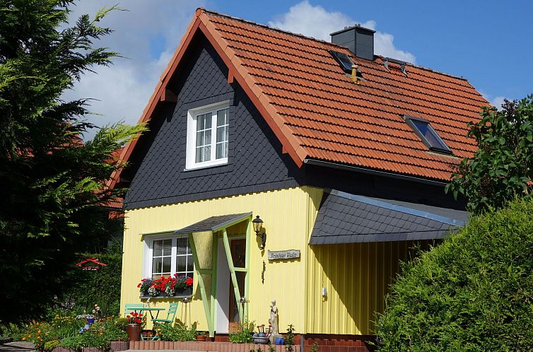 Guest house 0224004 - Apartment Harz - Appartement Anna