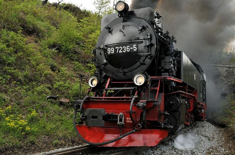 Appartement Gästehaus Tröbs