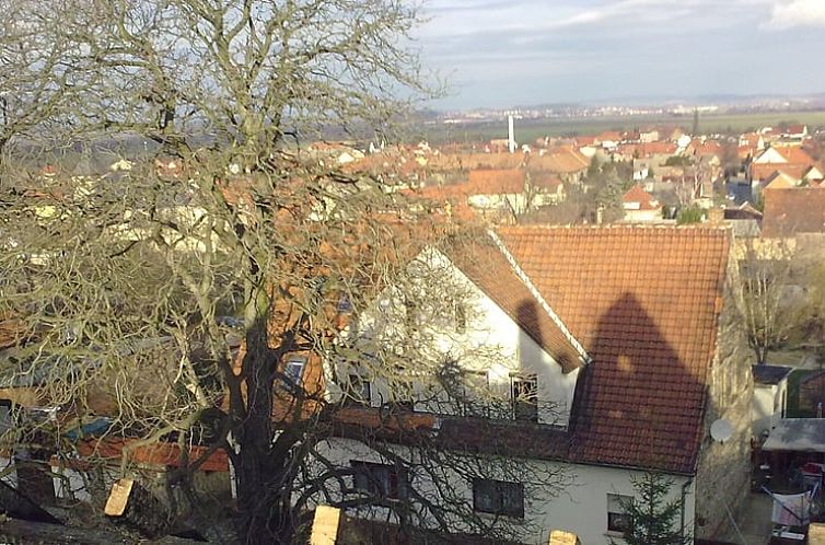 Vakantiehuis in Rieder