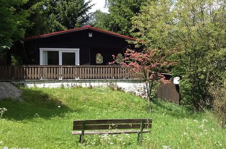 Unterkunft 0224801 - Ferienhaus Harz - Haus am pilzgrund