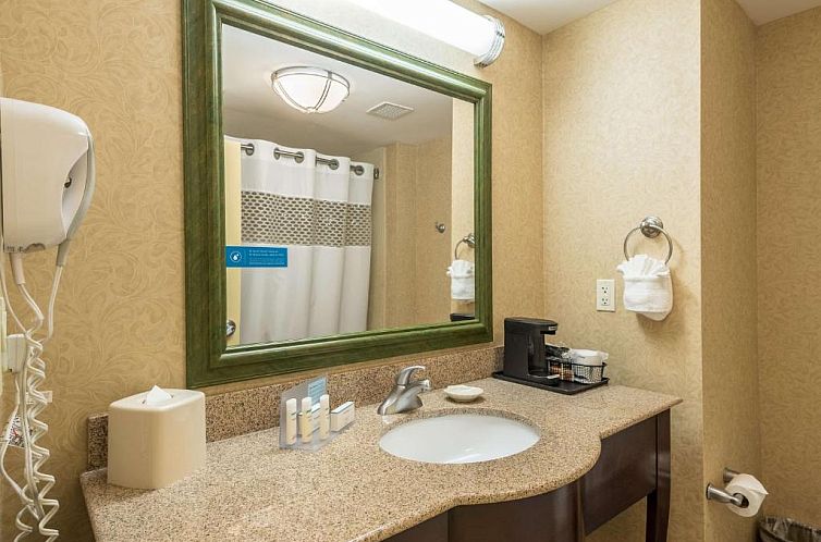 Hampton Inn & Suites Orlando-South Lake Buena Vista