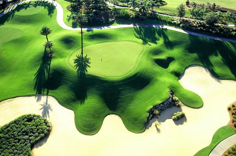 Reunion Resort & Golf Club