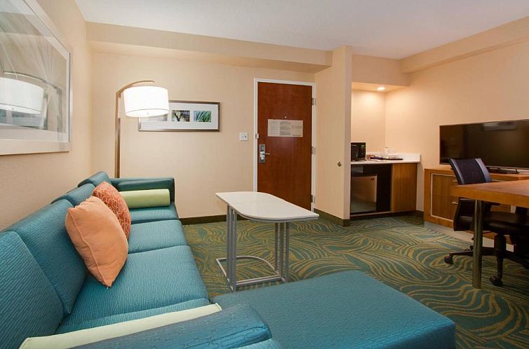 SpringHill Suites by Marriott Orlando Lake Buena Vista South