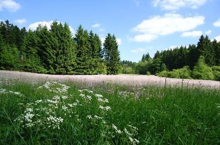 Appartement Ferienw. Natur pur