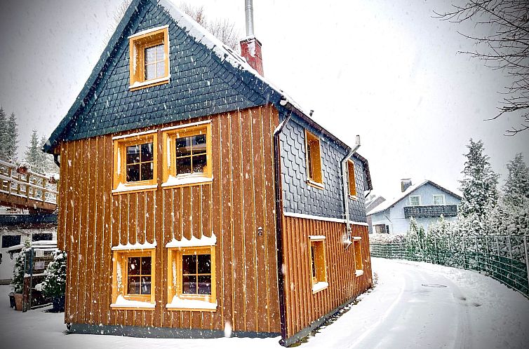 Unterkunft 0225605 - Ferienhaus Harz - Vakantiehuis Hexenhaus