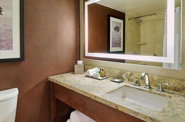 Hilton San Antonio Airport