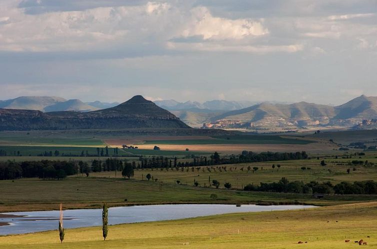 Lavender Hill Country Estate and Wedding Venue