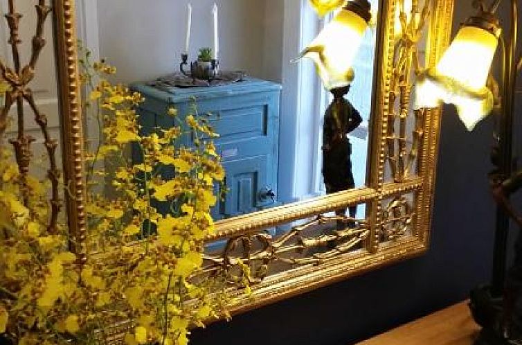 5th Avenue Gooseberry Guest House