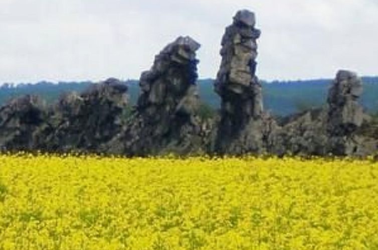 Appartement Appartement in Thale mit Grill