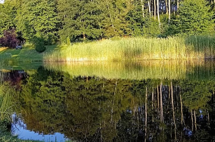 Vakantiehuisje in Friedrichsbrunn