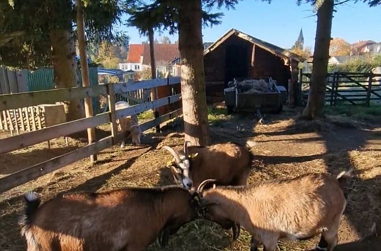 Vakantiehuisje in Friedrichsbrunn