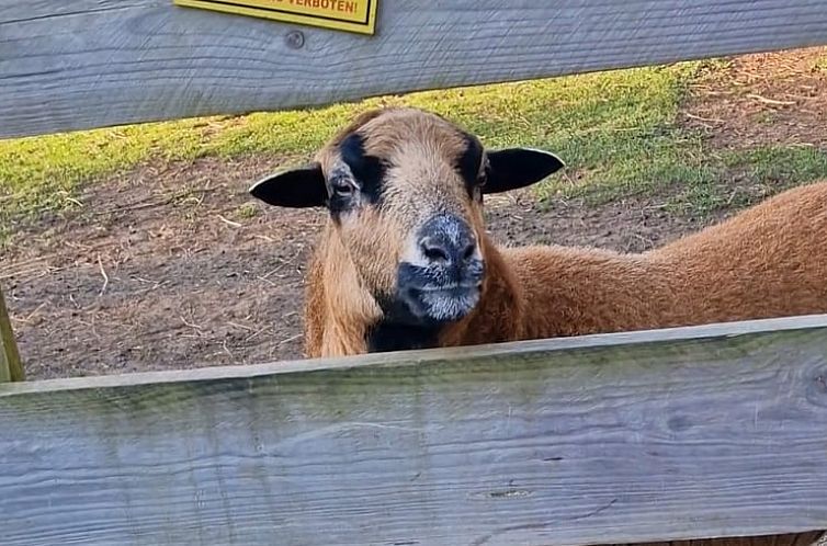 Vakantiehuisje in Friedrichsbrunn