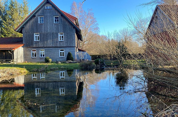 Guest house 0228307 - Apartment Harz - Appartement Appartement in Eggeröder Brunnen mit Grill, Gar