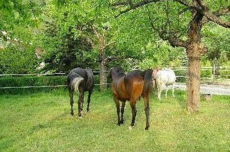 Vakantiehuis Silberbach I