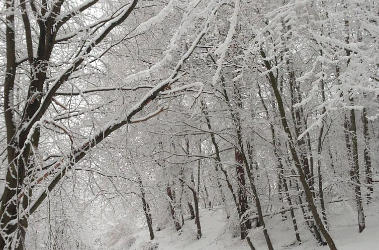 Vakantiehuis mit Terrasse