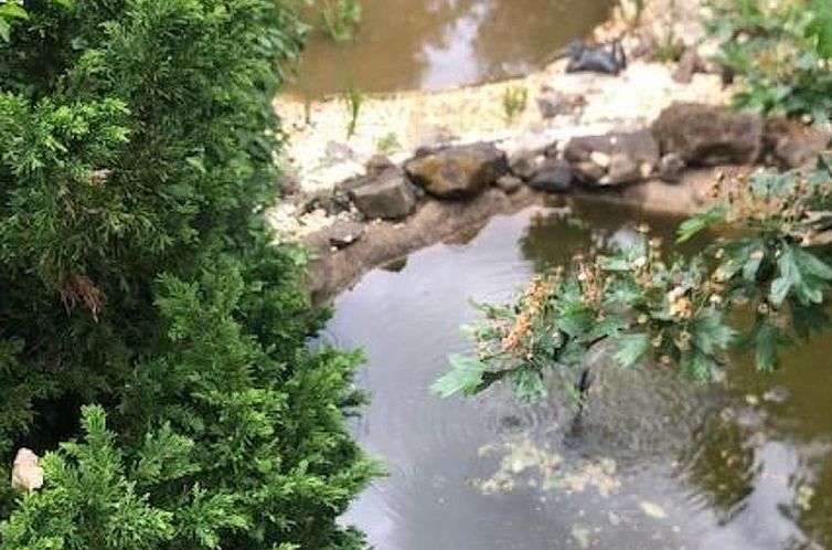 Vakantiehuis mit Terrasse