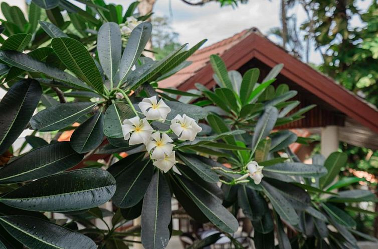 Club Bamboo Boutique Resort & Spa - SHA Certified