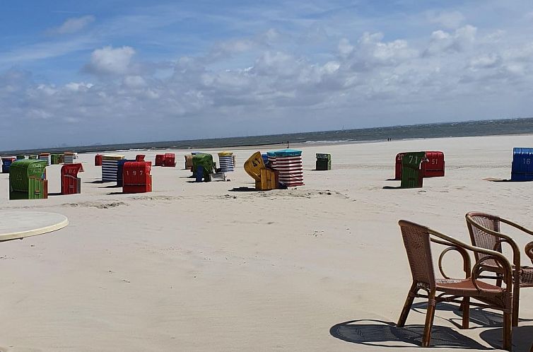 Appartement Apartment mit Terrasse am Südstrand