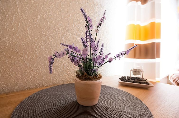Appartement Haus Lily 02