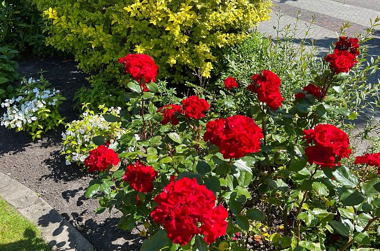 Appartement Fewo Strandnah