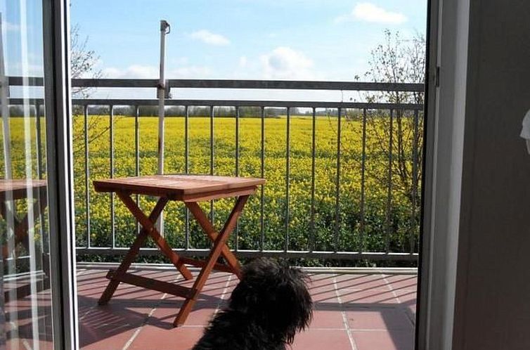 Appartement Gemütliche Ferienwohnung in Upleward mit Balkon