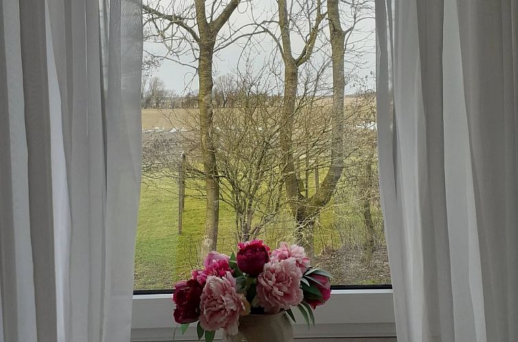Appartement mit Terrasse