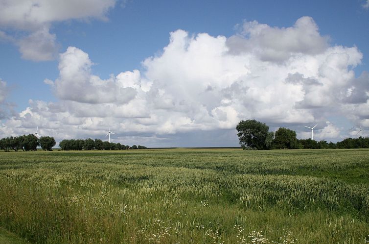 Appartement "Pilsum"