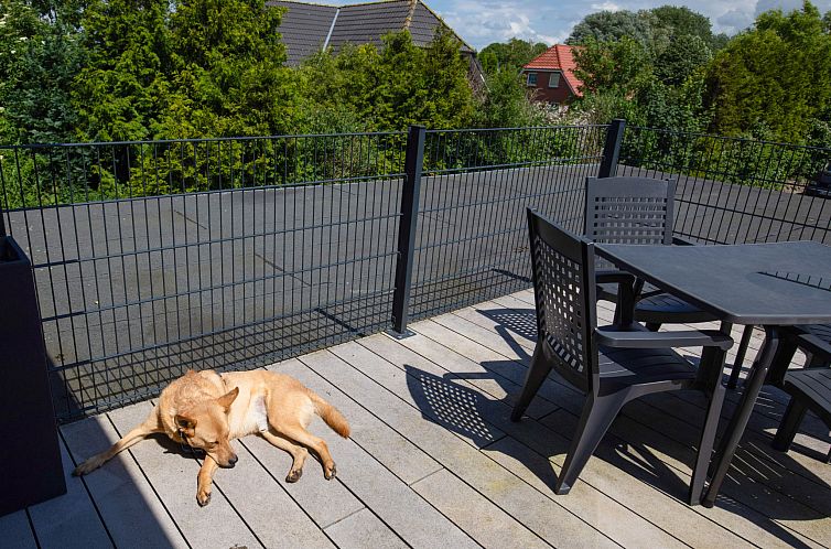 Appartement Seeschwalbe