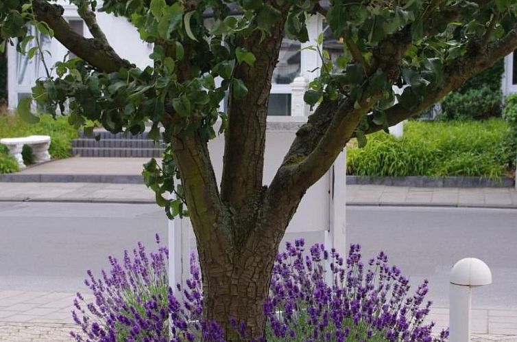 Appartement Gästehaus Kopp Wohnung Nr. 03 in Cuxhaven-Duhne