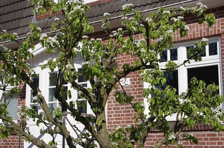 Appartement Gästehaus Kopp Wohnung Nr. 01 in Cuxhaven-Duhne